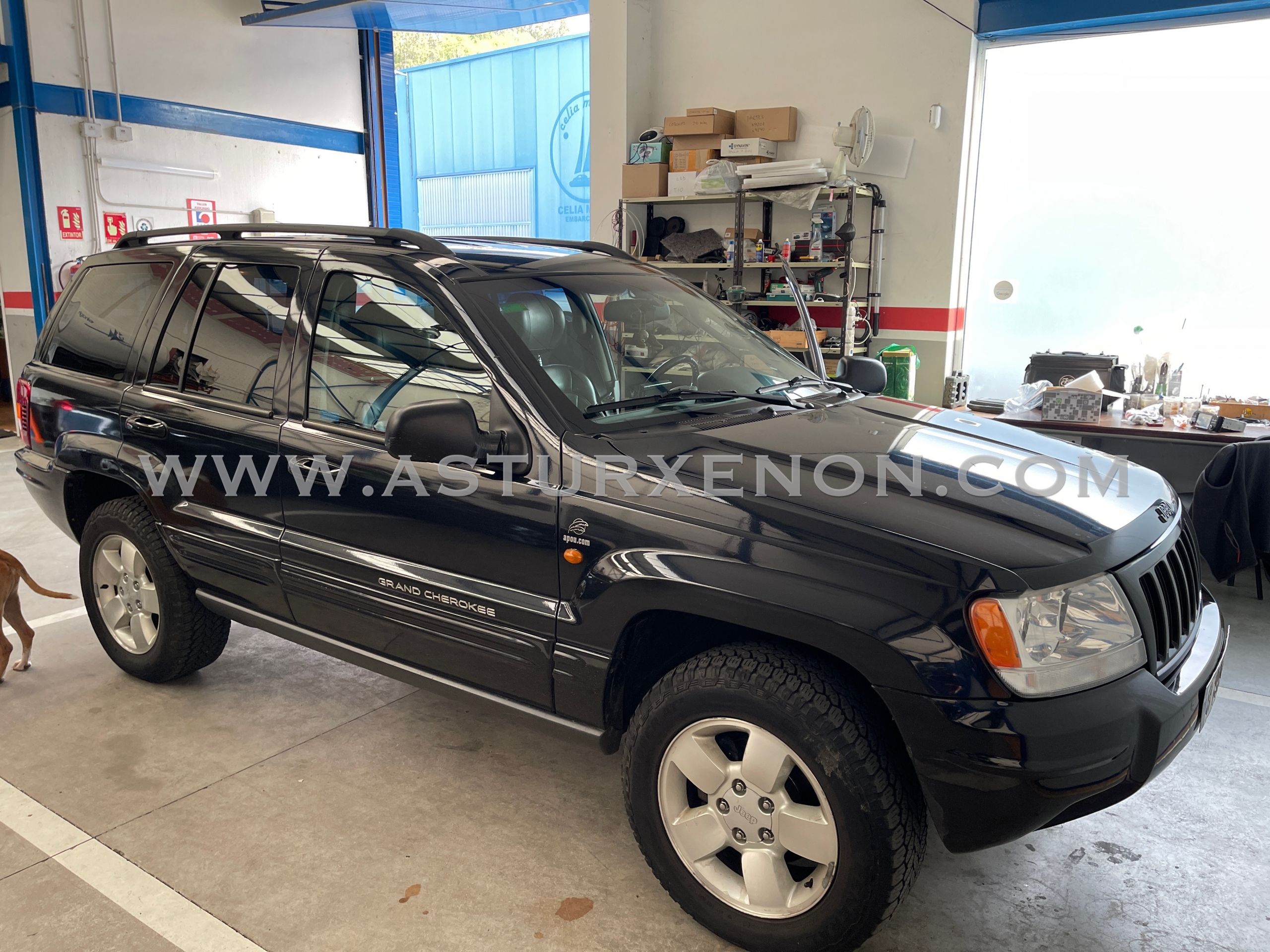 AX-CK6836 - Imagen 19